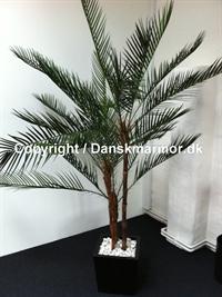 Phønix Palme 301-0567 1995 kr.